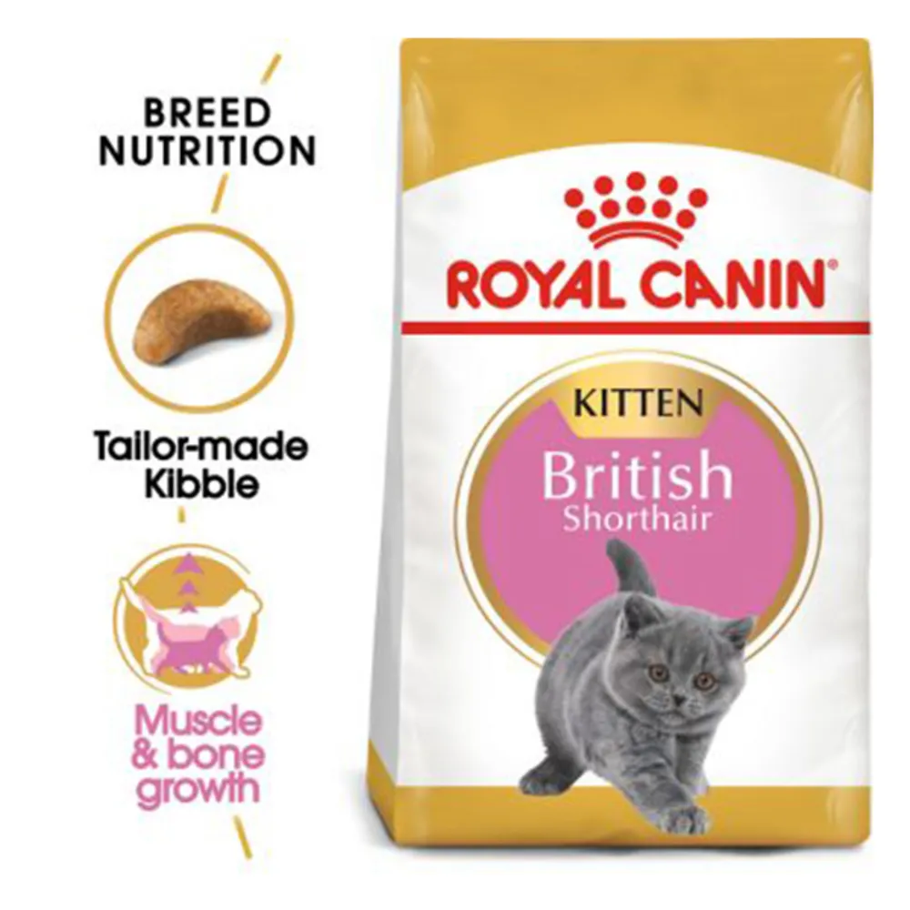 غذای خشک گربه رویال کنین مدل british shorthair kitten وزن 2 کیلوگرم 